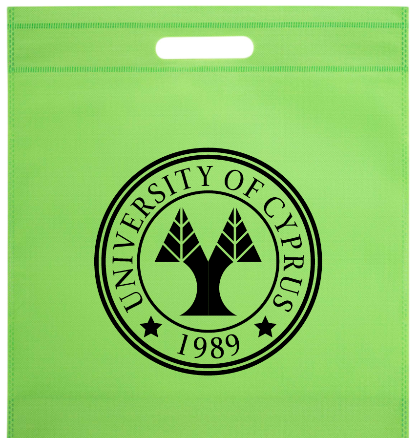 Thermo non-woven bag